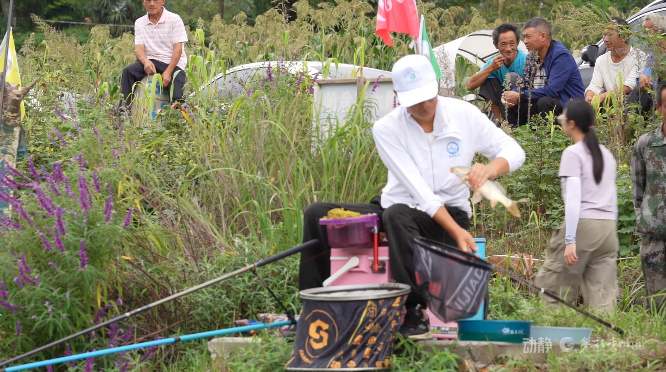 inews, 首场比赛激, 拔赛在龙里 inews, 首场比赛激, 拔赛在龙里