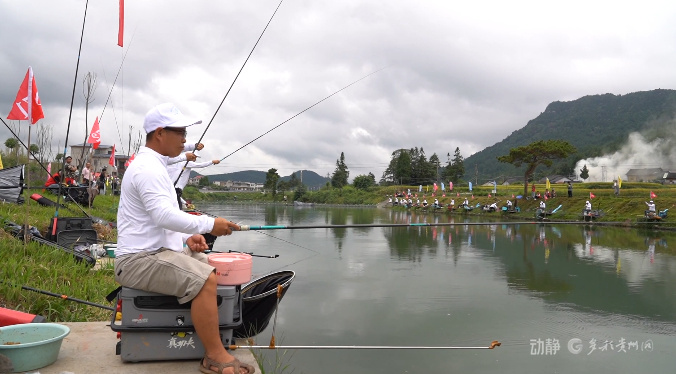 贵州龙里选, REHpF 贵州龙里选, REHpF